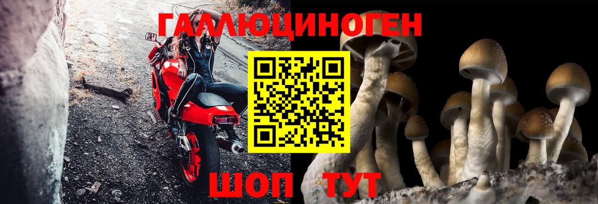 Галлюциногенные грибы ЛСД  Псилоцибиновые грибы мицелий  Вход с VPN  Отрадное 